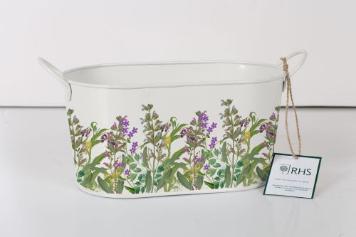 Oval Planter Lavender- Royal Horticultural Society