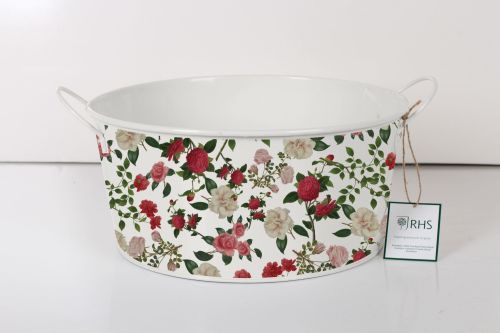 Round Planter Roses - Royal Horticultural Society