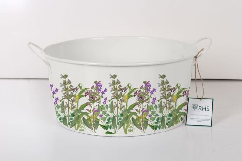 Round Planter Lavender - Royal Horticultural Society