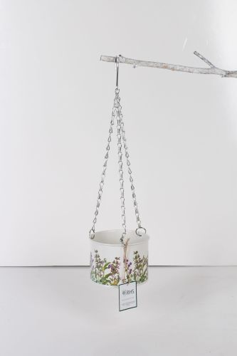 Hanging Planter Lavender - Royal Horticultural Society