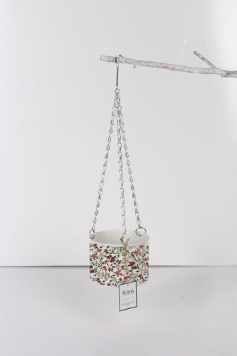 Hanging Planter Roses- Royal Horticultural Society