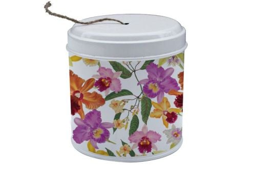 RHS Orchid String in a Tin 