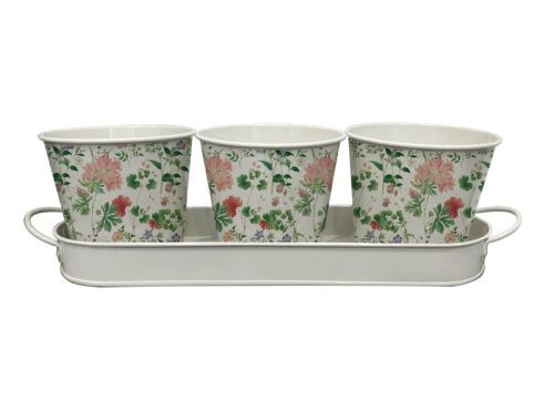 RHS Summer Floral Herb Pots