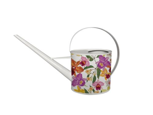 RHS Oval Watering Can Orchid 