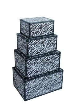 STORAGE TRUNKS