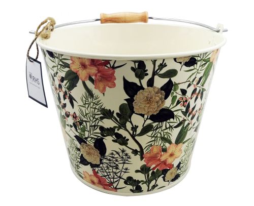 RHS CREAM ROSE BUCKET