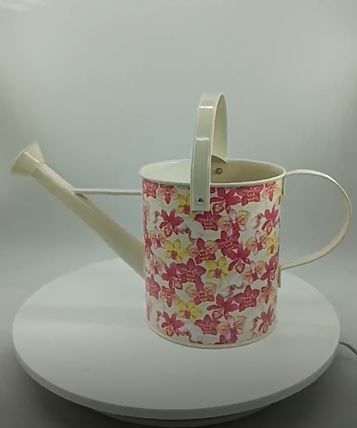 5 Litre Orchid Watering Can