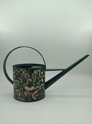 2L Watering Can