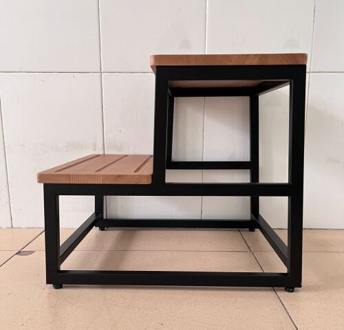 Double Step Stool