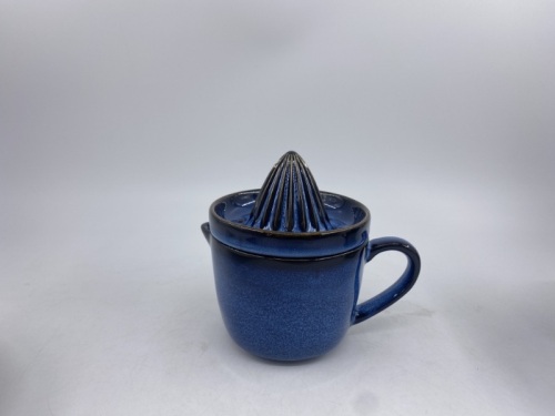 Scandi Home Juicer with Jug