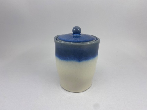 Canister