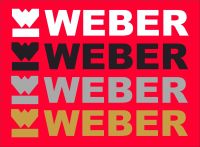 Weber Cut Vinyl Logo & Text Stickers. 10