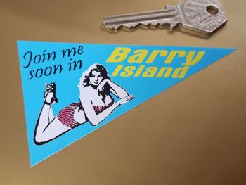 Barry Island Travel Pennant Sticker 4"