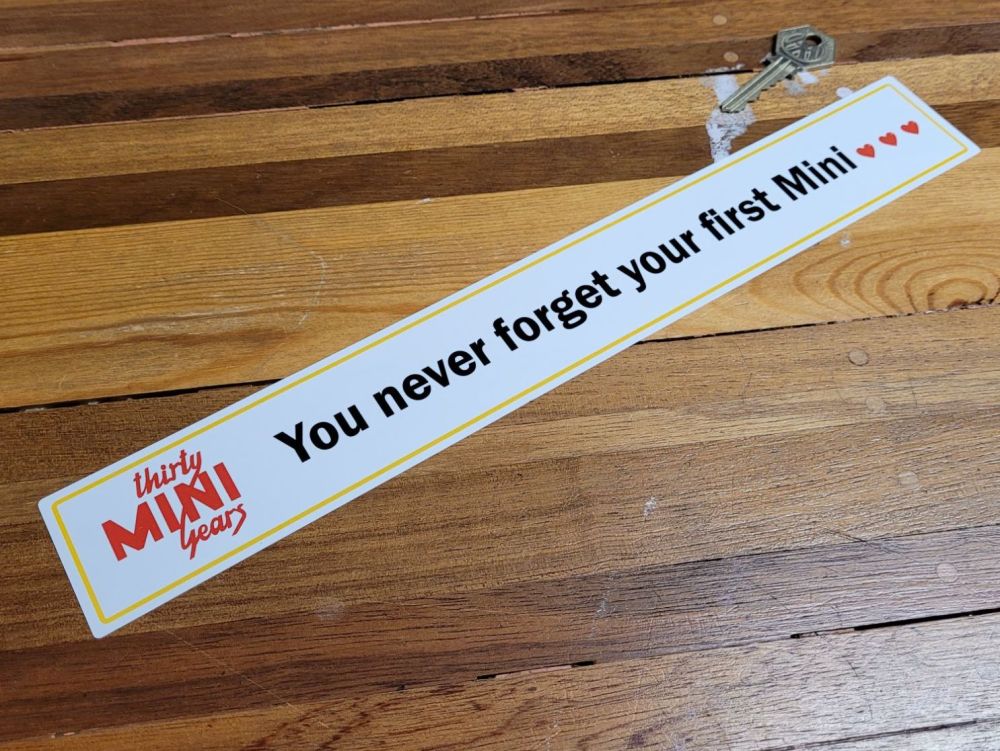 You Never Forget Your First Mini Static Cling Window Sticker - 13.5