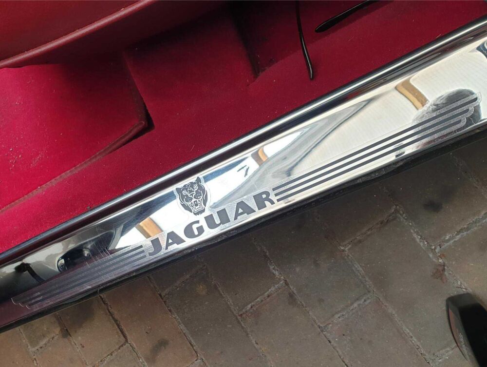 Jaguar Growler & Winged Text Sticker - 19"