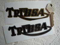 Tribsa Shaped Text Stickers. 4.5" Pair.