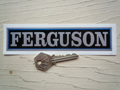 Ferguson Silver Oblong Stickers. 6" Pair.