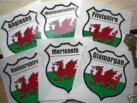 Wales County Shield Sticker. 3