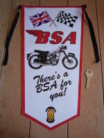 BSA There's a BSA For You! Banner Pennant.