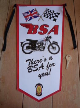 BSA There's a BSA For You! Banner Pennant.