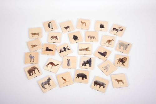 Wild Animal Family Match Game