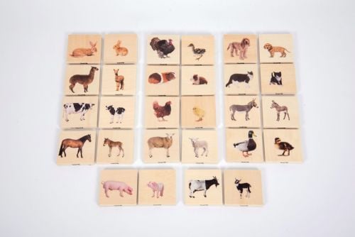 Domestic Animal Family Match Game