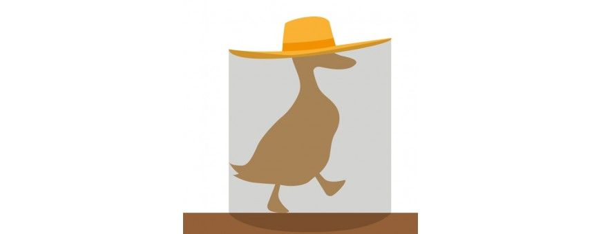 Ocamora