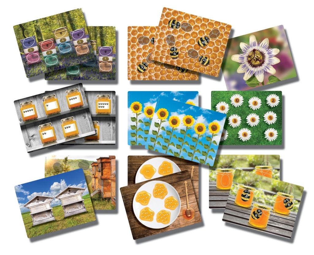Honey Bee Counting Cards