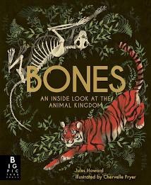 Bones: An Inside Look at the Animal Kingdom (Paper Back)