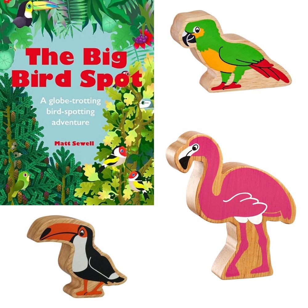 Big Bird Spot Book & Birds Bundle