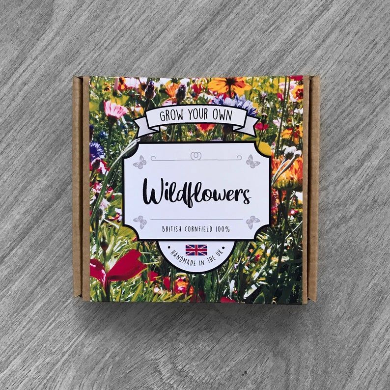 Grow your own Wildflowers