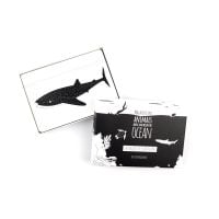 Black and White - Ocean Animal Flashcards