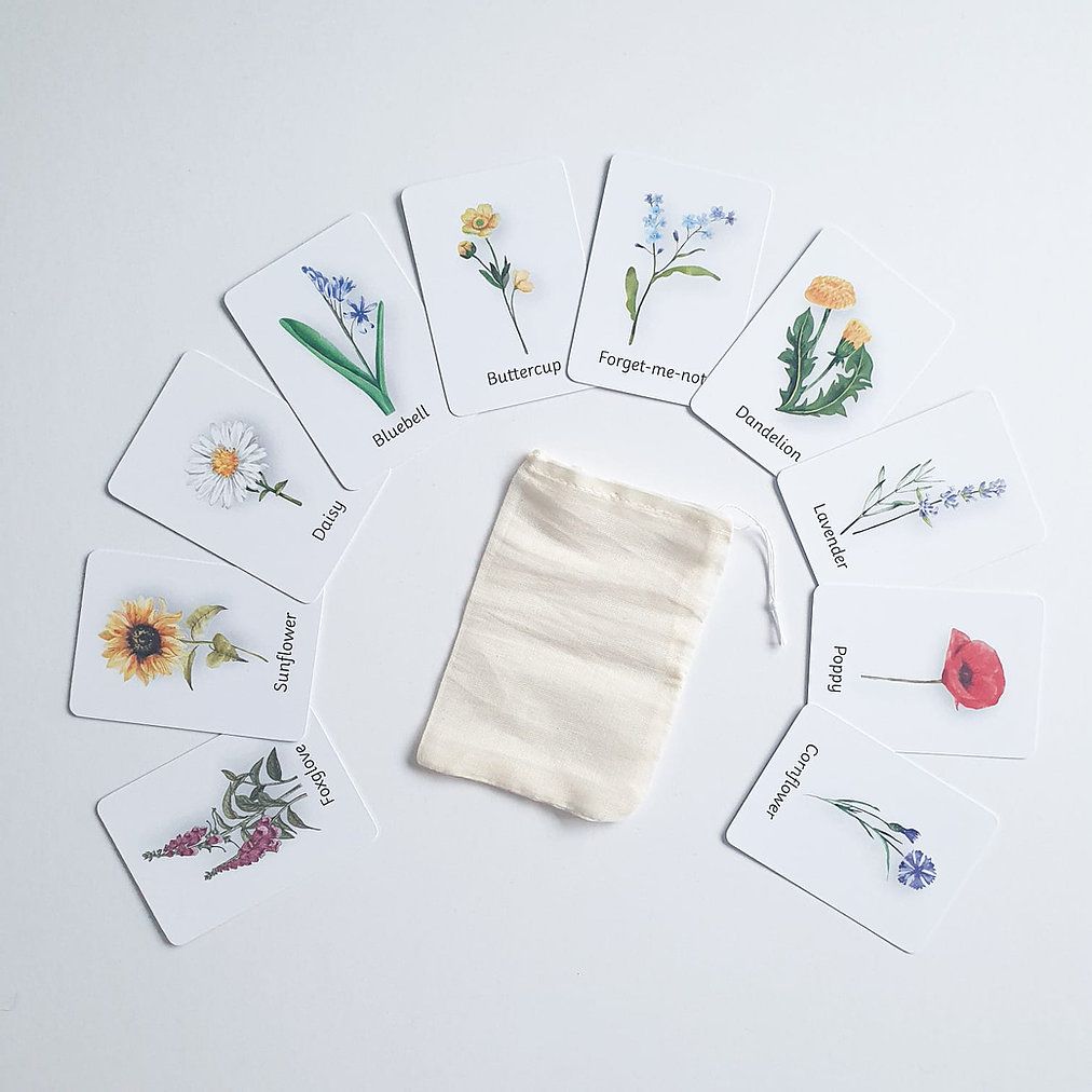 Flashcards - Wildflowers