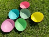 Coconut Bowls - Pastel Colours