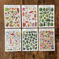 British Widlife Flashcards - plant life  - Pack of 6