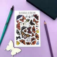 Butterflies of Britian Flashcard
