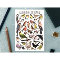 Garden Birds of Britain