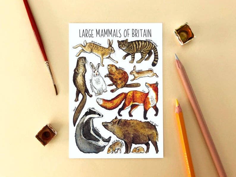 Large Mammals of Britain