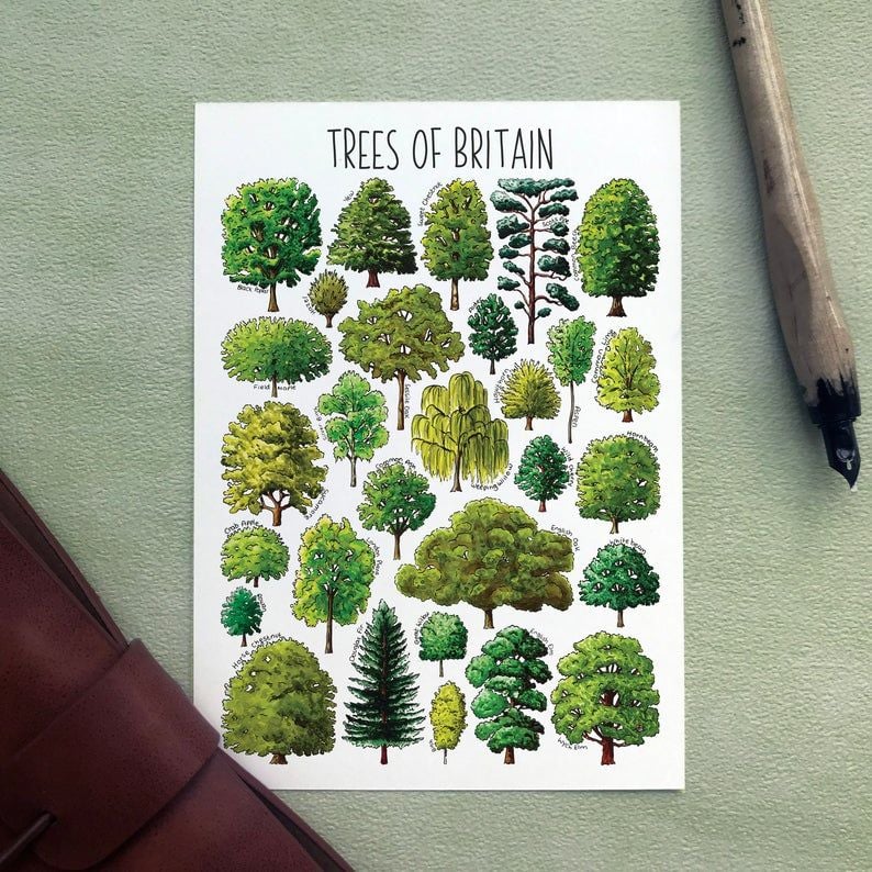 Trees of Britain 