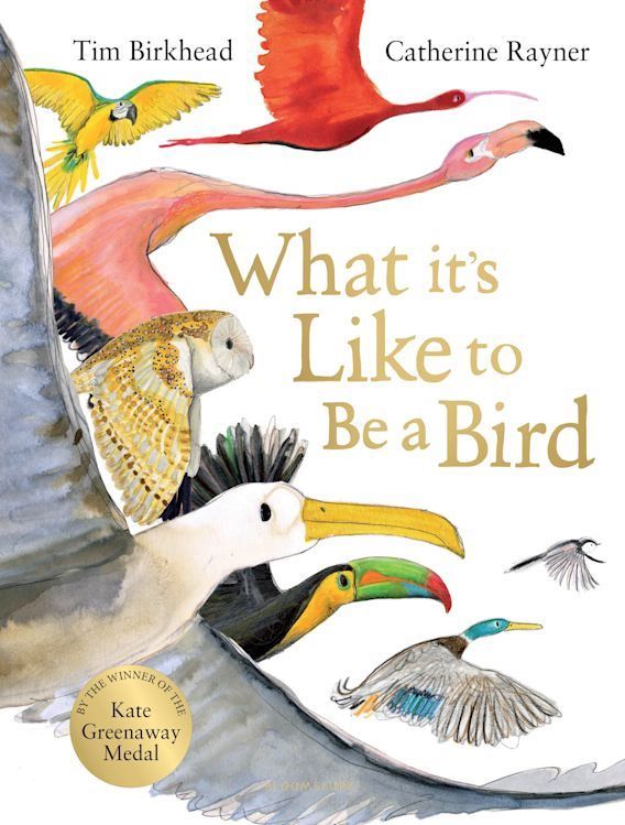 What's it like to be a bird