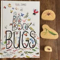 Big Book of Bugs, Book & Bundle