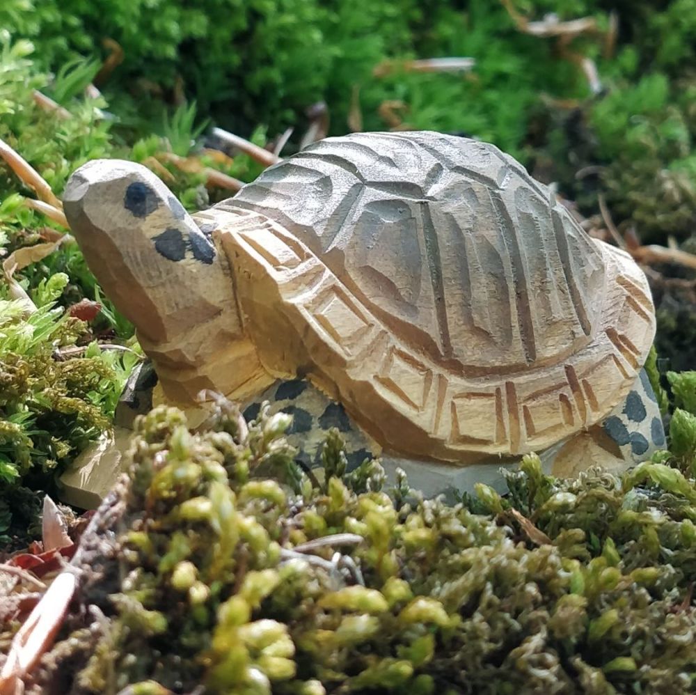 Wudimals - Tortoise
