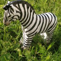 Wudimals - Zebra