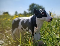 Wudimals - Cow