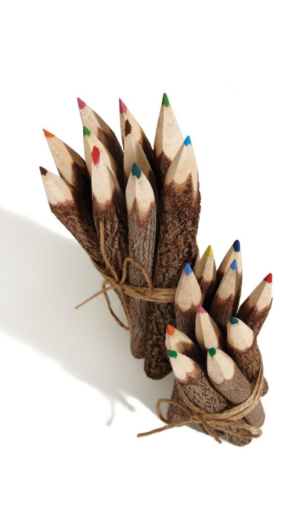 Tamarind Twig Pencil Crayons - Large - set of 10. 