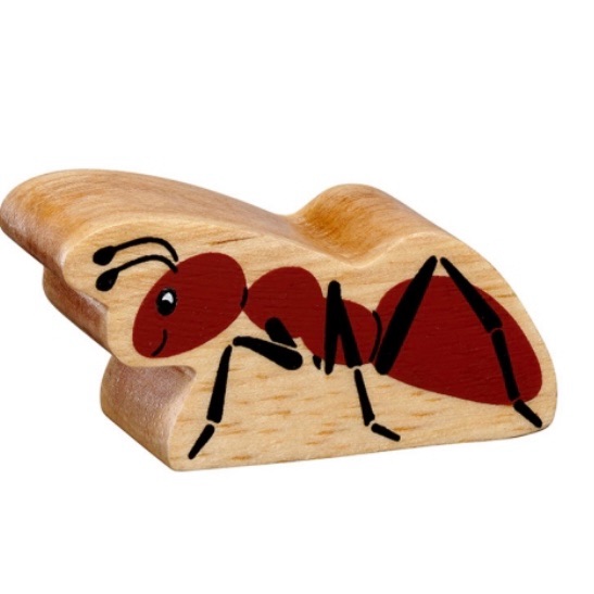 Lanka Kade - Insect, Ant