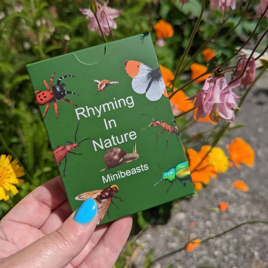 Educational Cards - Rhyming In Nature - Minibeasts