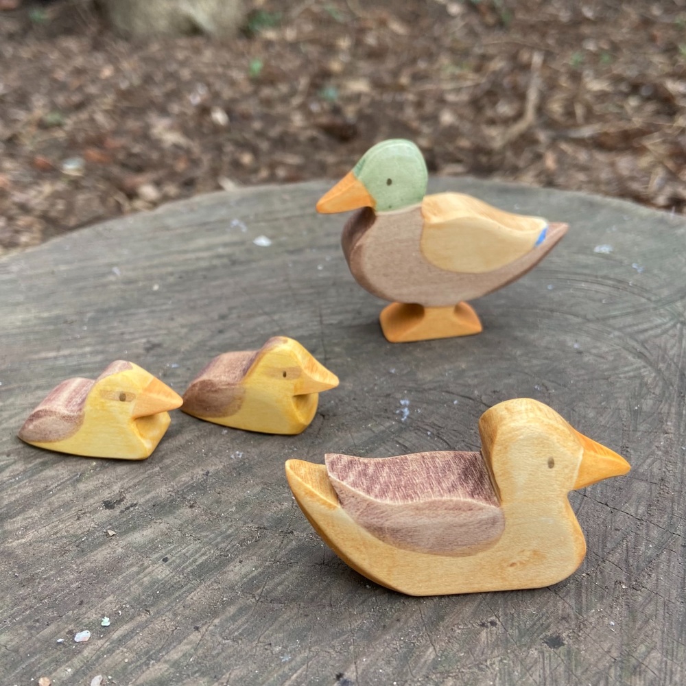 Duck Family  - Eric & Albert