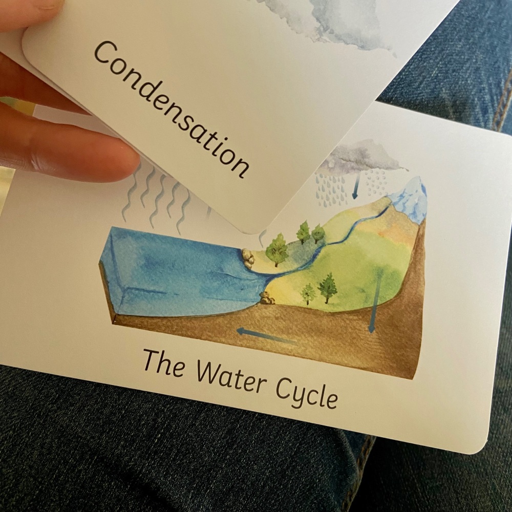 Flashcards - The Water Cycle