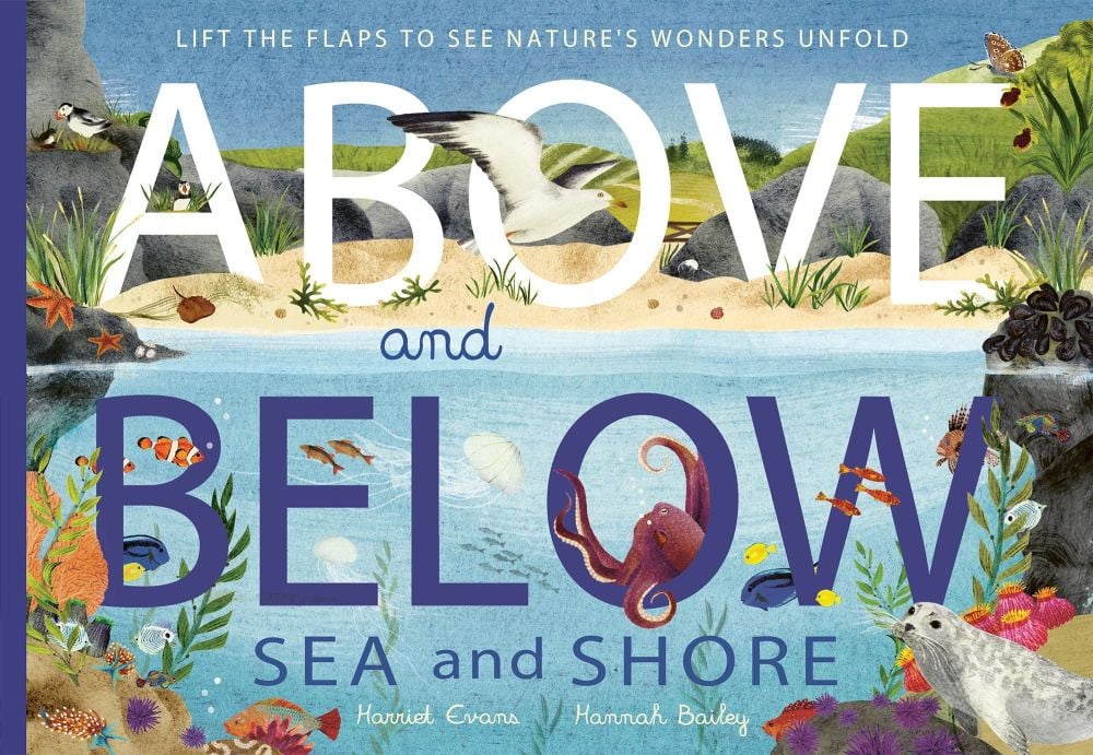Above and Below: Sea and Shore (Lift the Flap)